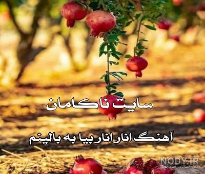 گلچین آهنگ های قدیمی لیلا فروهر - YouTube Music