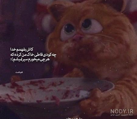 عکس نوشته های خنده دار و طنز جدید