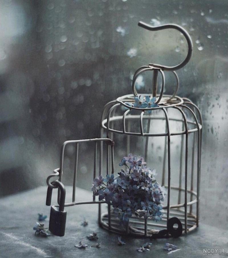  رمانتیک عکس پروفایل آرامش دهنده