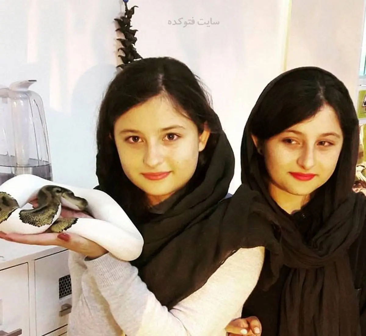 این عکس پدر سارا و نیکا همه را شوکه کرد/ پدر سارا و نیکا این قدر پیر است!؟ + عکس خبرساز
