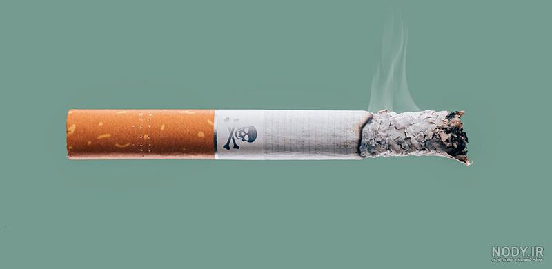 خرید سیگار مور سبز (Menthol) با بهترین قیمت | پوفار