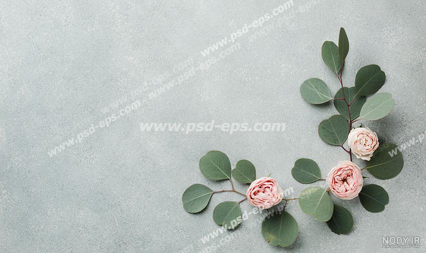 عکس رنگ طوسی و مشکی عکس رنگ طوسی و مشکی