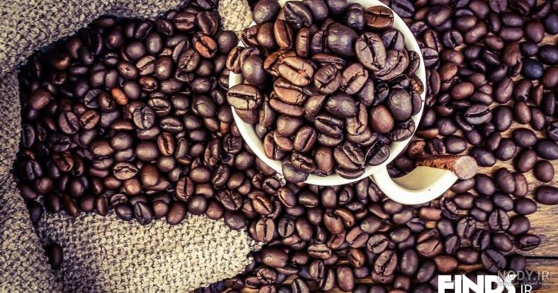 عکس فیل تو فال قهوه - عکس نودی عکس فیل تو فال قهوه - عکس نودی