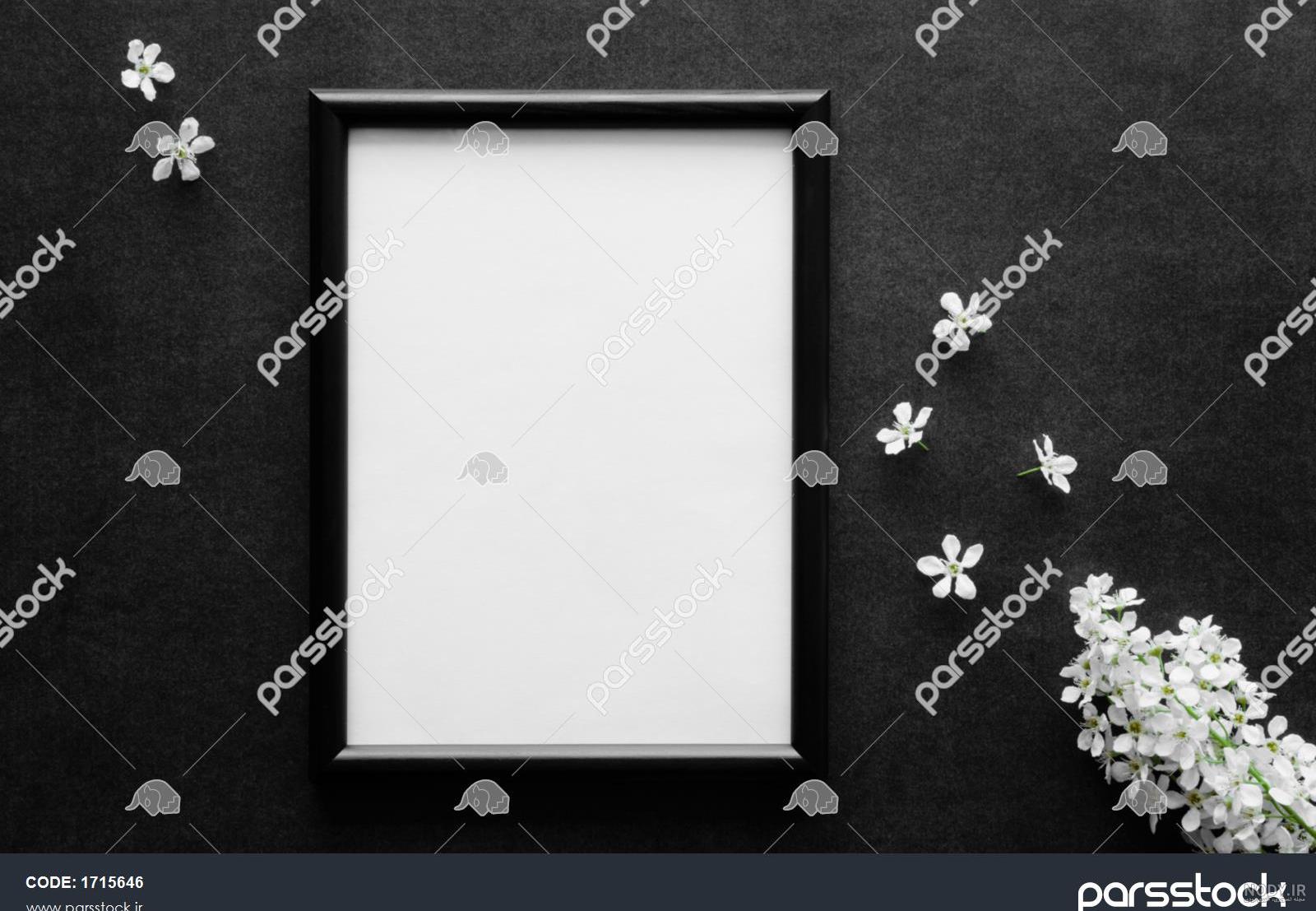 عکس پروفایل عزاداری ⭐️ عکس پروفایل تسلیت [رسمی و متفاوت]