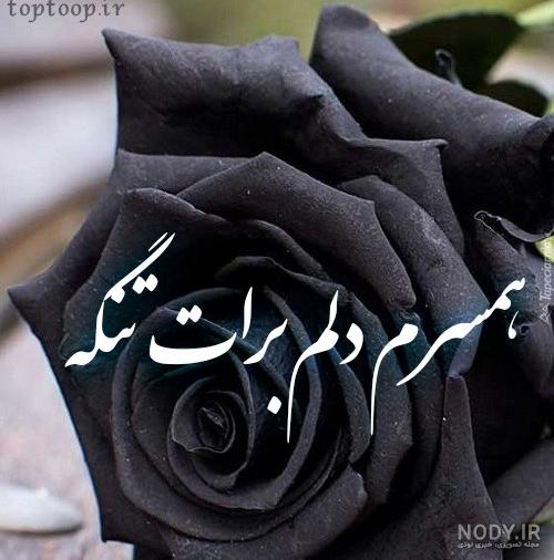 عکس پروفایل غمگین تیکه دار و سنگین با مضمون تنهایی و جدایی عکس پروفایل غمگین تیکه دار و سنگین با مضمون تنهایی و جدایی