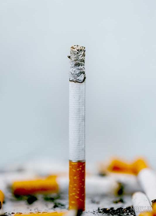 نقد و بررسی سیگار مور سبز منتول