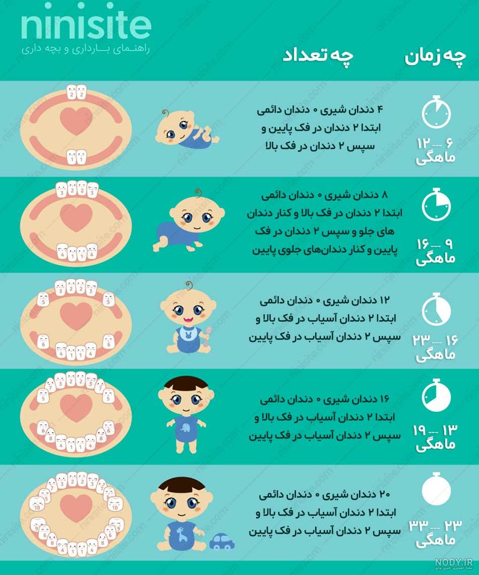 همه چیز درباره دندان درآوردن | مجله نی نی سایت همه چیز درباره دندان درآوردن | مجله نی نی سایت