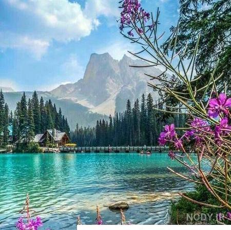 72 عکس برای پروفایل | عکس پروفایل دخترانه، پسرانه، خاص، طبیعت و...
