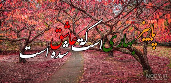 90 عکس گل و منظره زیبا برای پروفایل 2024؛ بدون متن/ بینظیر/ واقعا خوشگل  جذاب - گلی خانوم