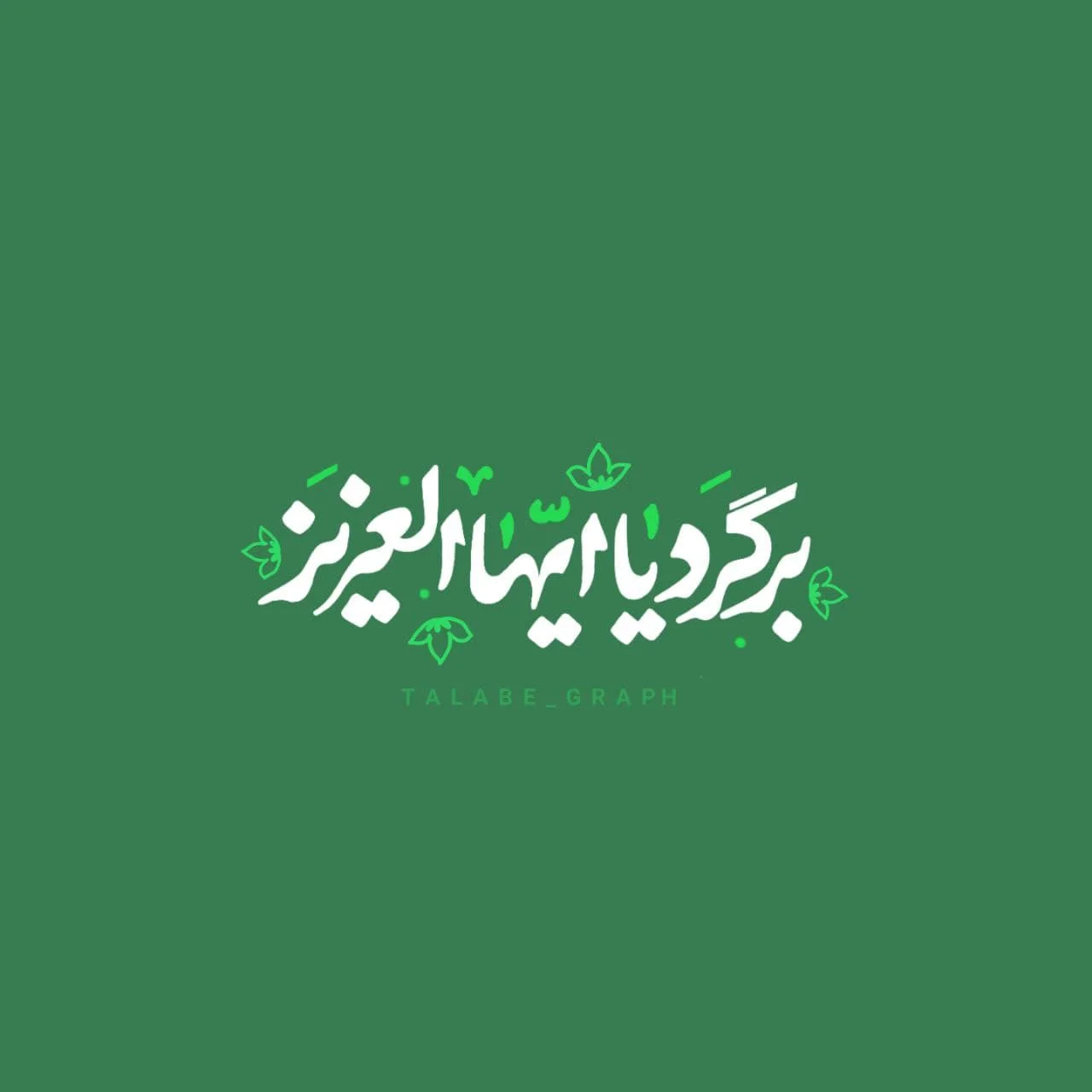 تصویر با کیفیت ( برگرد یا ایها العزیز ) - طلبه گراف تصویر با کیفیت ( برگرد یا ایها العزیز ) - طلبه گراف