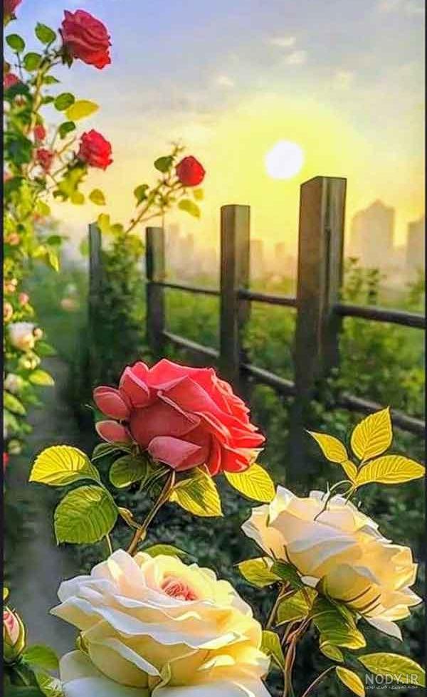 عکس منظره زیبا برای پروفایل 🌷 | پیکوپیکس