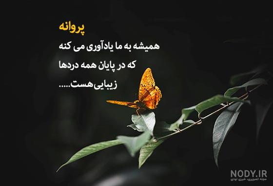 عکس نوشته پروانه شدن - عکس نودی