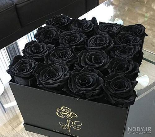 عکس پروفایل رز سیاه + جملات عاشقانه غمگین - عکس پروفایل عکس پروفایل رز سیاه + جملات عاشقانه غمگین - عکس پروفایل