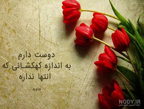 عکس پروفایل گل عاشقانه زیبا از شاخه رز تا نرگس 120 تصویر با کیفیت! عکس پروفایل گل عاشقانه زیبا از شاخه رز تا نرگس 120 تصویر با کیفیت!