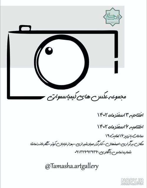 عکس/ کیمیا علیزاده به چیزی که میخواست رسید؟