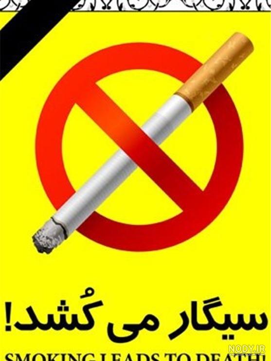 قیمت و خرید سیگار سناتور شکلاتی تشریفات 2 نخی اصل - یولایف شاپ قیمت و خرید سیگار سناتور شکلاتی تشریفات 2 نخی اصل - یولایف شاپ