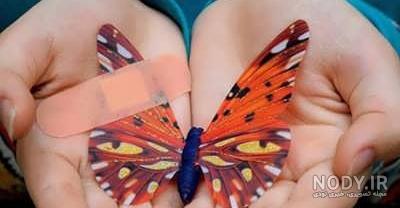 متن زیبا درباره پروانه با محتوای احساسی و مفهومی