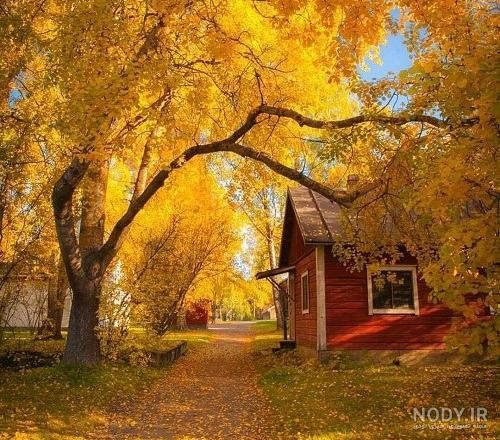 مجموعه‌ای زیبا از عکس طبیعت برای پروفایل - ستاره