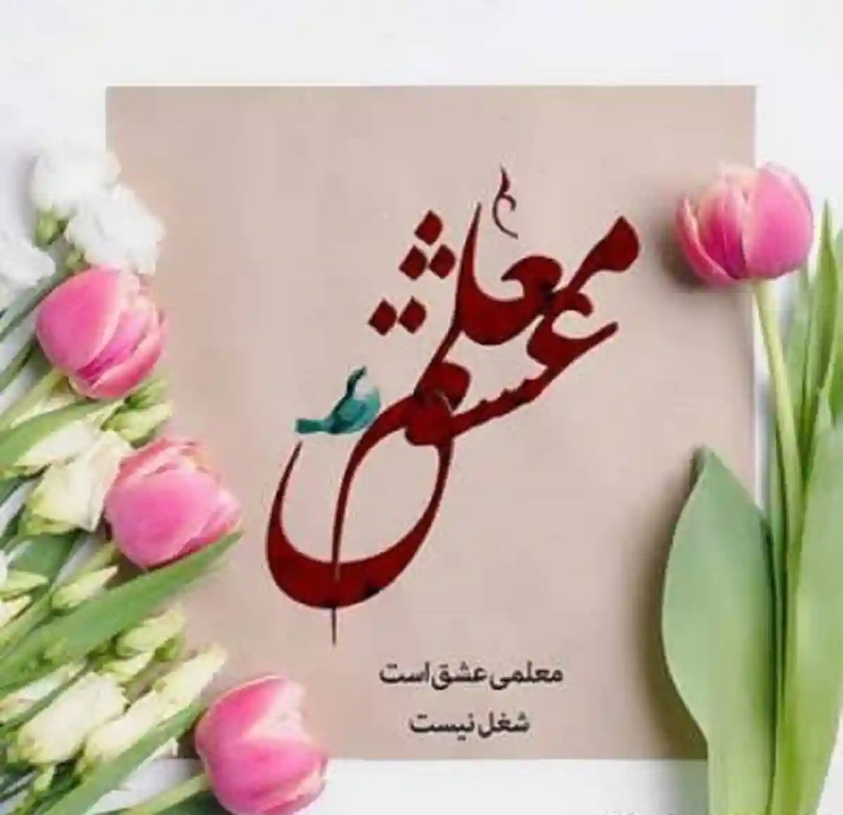 20 متن تبریک روز زن به معلم و استاد (زیبا و شاعرانه) 20 متن تبریک روز زن به معلم و استاد (زیبا و شاعرانه)