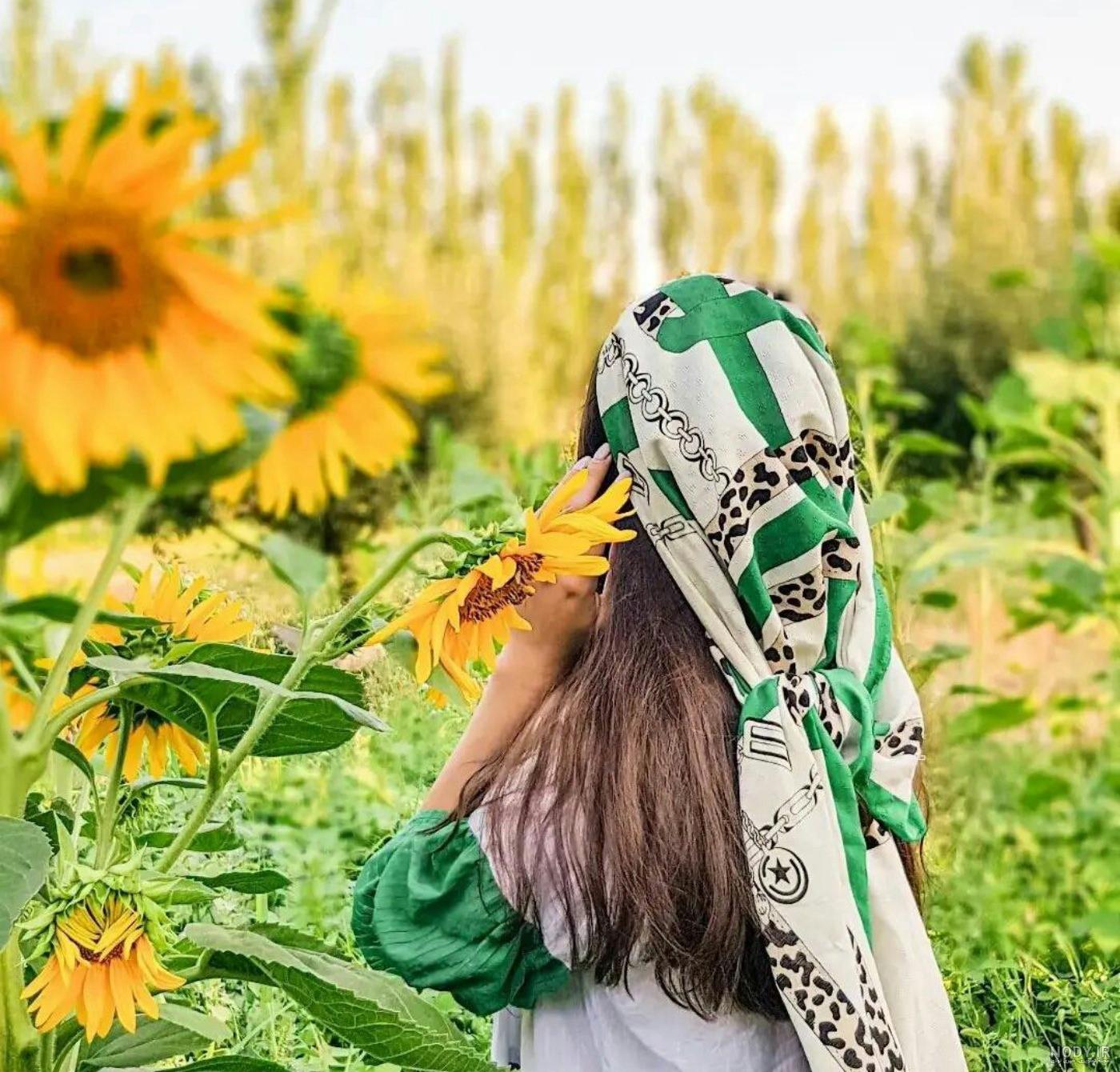 آخرین خبر | عکس/ دختران آفتاب
