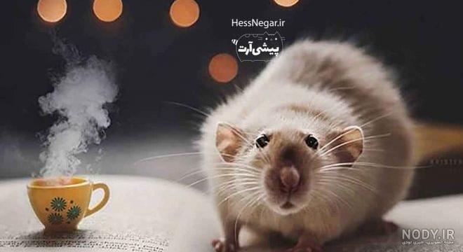 جملات زیبا درباره آرزو+ مجموعه عکس پروفایل و عکس نوشته های جدید درباره آرزو  کردن