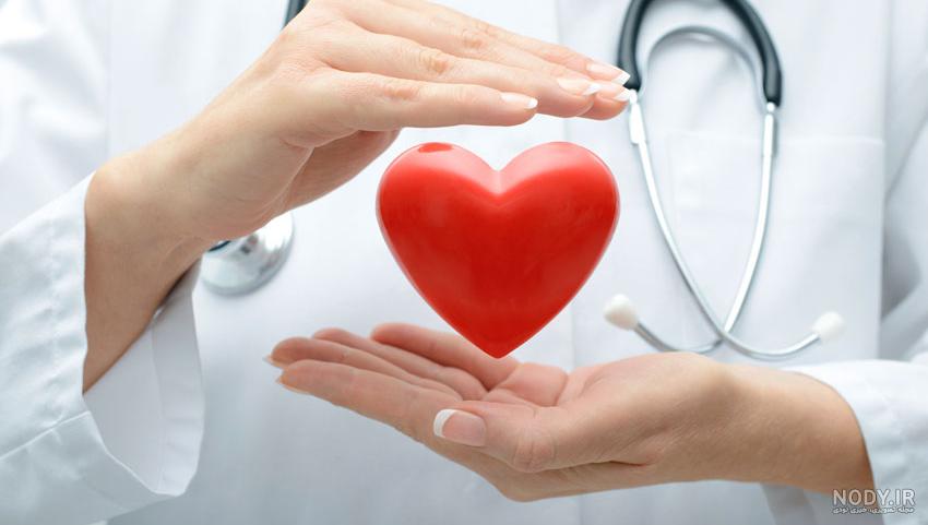 ساختار و عملکرد قلب | دکتر حمیدرضا صنعتی فوق تخصص قلب و عروق