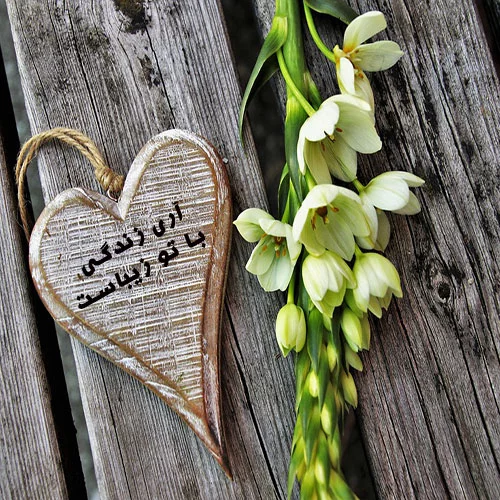 عكس گل براي پروفايل