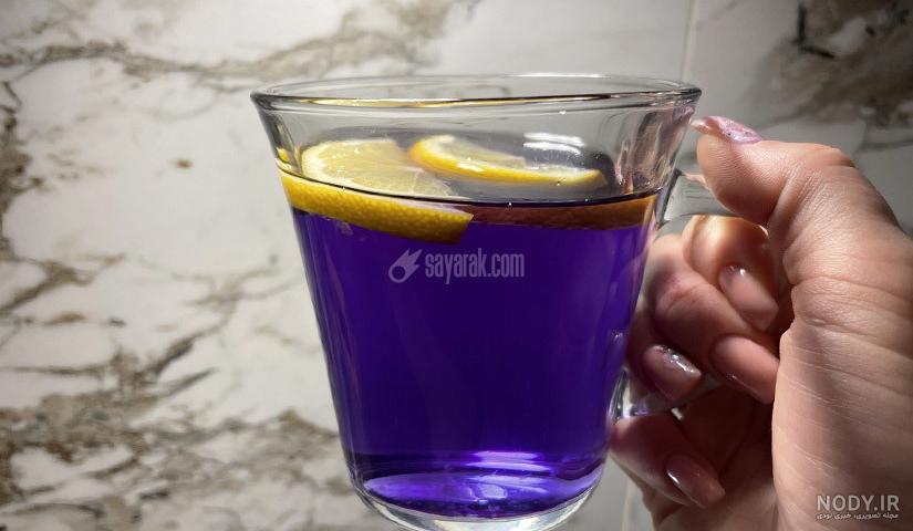 عکس با کیفیت زمین ها و مزارع بزرگ و سرسبز کشت گیاه چای با برگهای سبز با  آسمانی آبی و پرتو آفتاب - لایه باز طرح آماده psd - eps