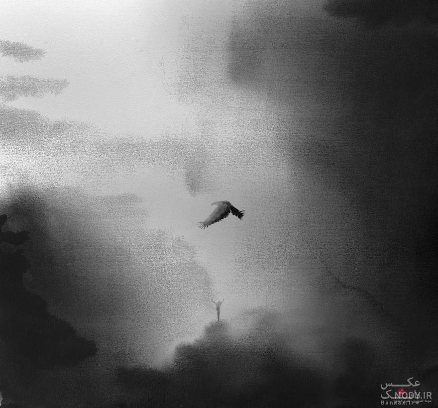عکس نقاشی سیاه سفید حیوانات