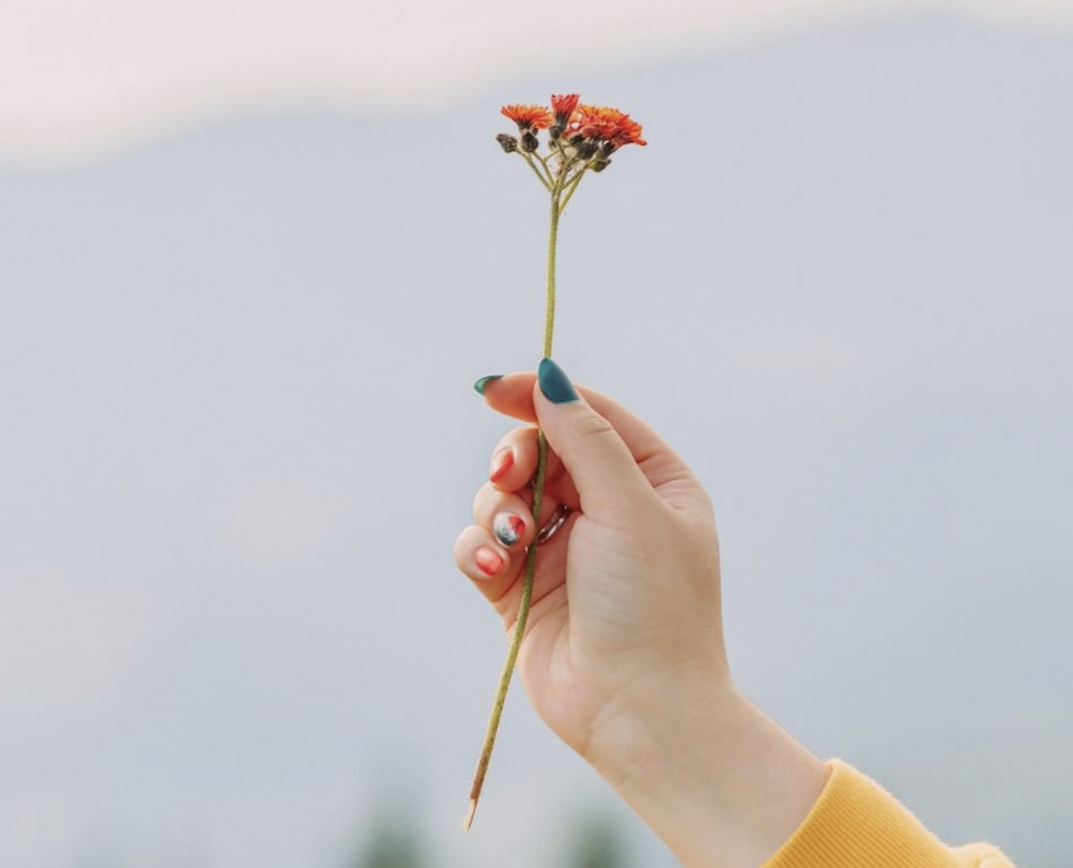 عکس نوشته تبریک روز زن به معلم عکس نوشته تبریک روز زن به معلم