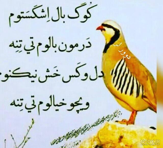 عکس نوشته جدید لری برای پروفایل 97 * عکس نوشته پروفایل عاشقانه و جدید