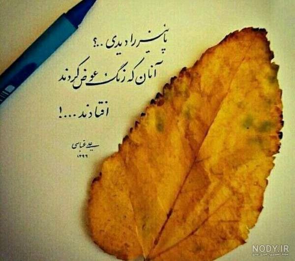 عکس پروفایل دختر نی نی عکس پروفایل دختر نی نی