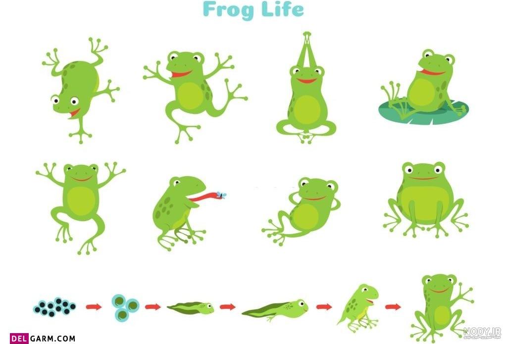 فیلم مرد قورباغه ای Frogman 2023 زیرنویس فارسی فیلم مرد قورباغه ای Frogman 2023 زیرنویس فارسی