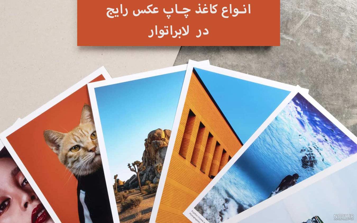 آلبوم عکس کیتی - آلبوم آماده جلد مخمل طرح کیتی - لابرتوار جهان آرا - آلبوم عکس مشهد آلبوم عکس کیتی - آلبوم آماده جلد مخمل طرح کیتی - لابرتوار جهان آرا - آلبوم عکس مشهد