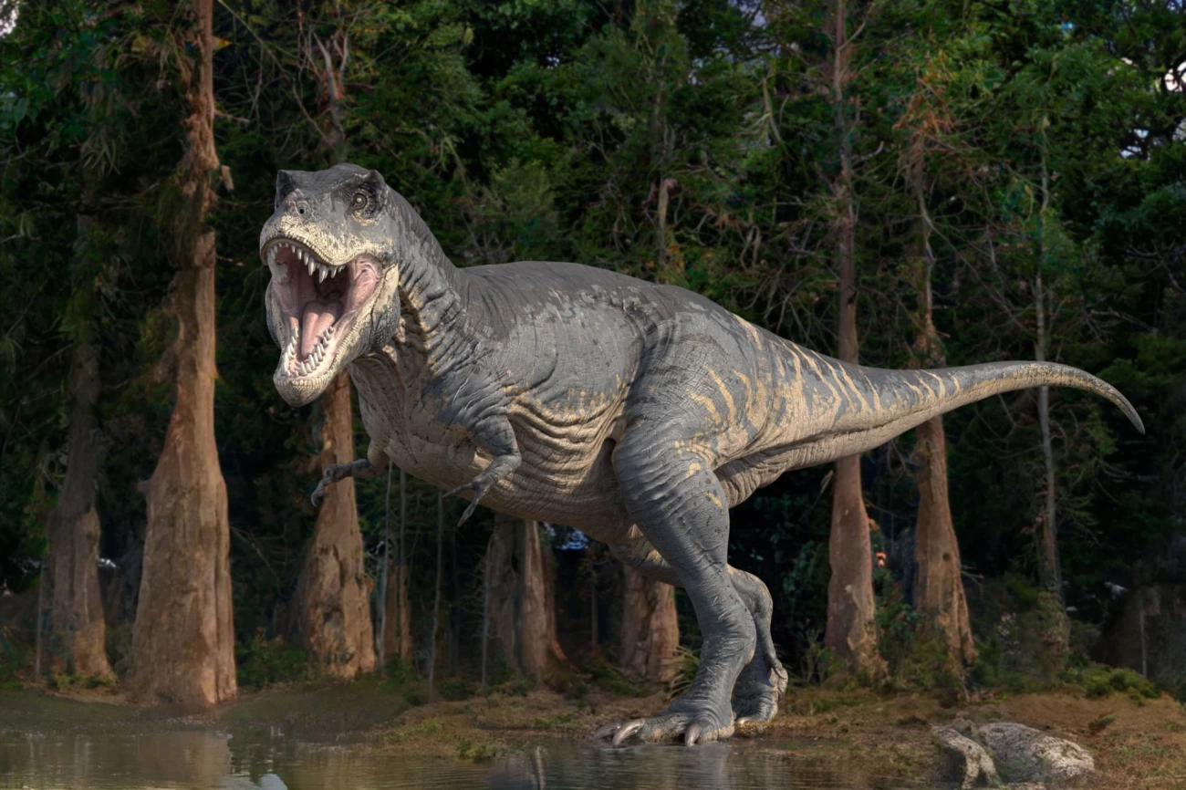 اسباب بازی فقط توی توی | TOY TOY - فیگور تیرانوسوروس رکس Jurassic World اسباب بازی فقط توی توی | TOY TOY - فیگور تیرانوسوروس رکس Jurassic World