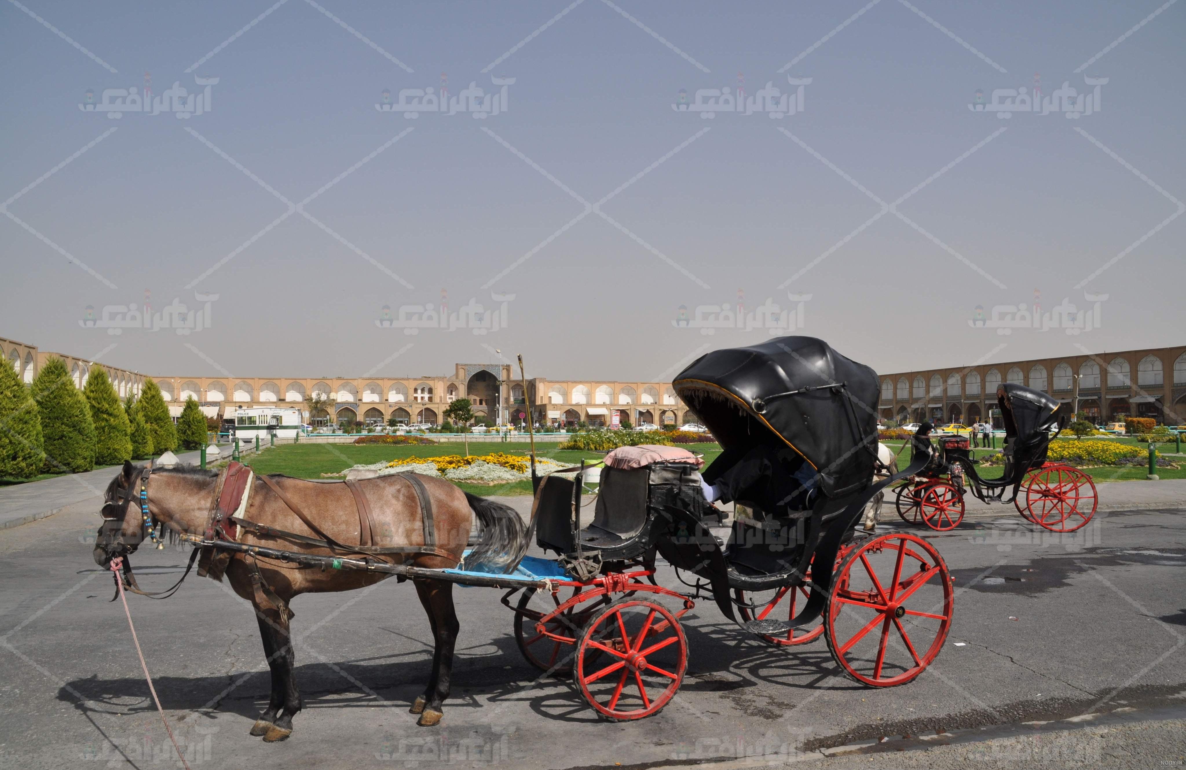 این اسب با سوت صاحب خود گاری را جا به جا می کند