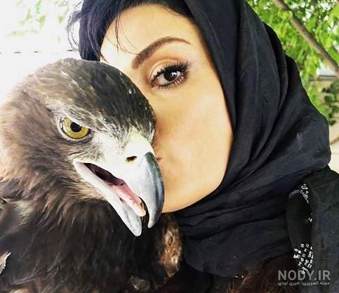 رها سازی عقاب طلایی و ساری گپه در خراسانلو-1 رها سازی عقاب طلایی و ساری گپه در خراسانلو-1
