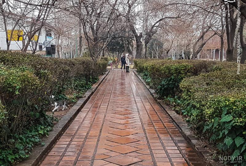 عکس بارش باران شب عکس بارش باران شب