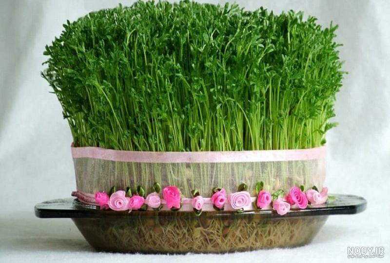 عکس سبزه عید برای مدرسه عکس سبزه عید برای مدرسه
