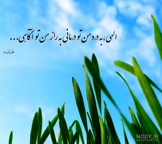 عکس پروفایل جدید ۱۴۰۱ بدون متن طبیعی بدون چهره دخترانه عکس پروفایل جدید ۱۴۰۱ بدون متن طبیعی بدون چهره دخترانه