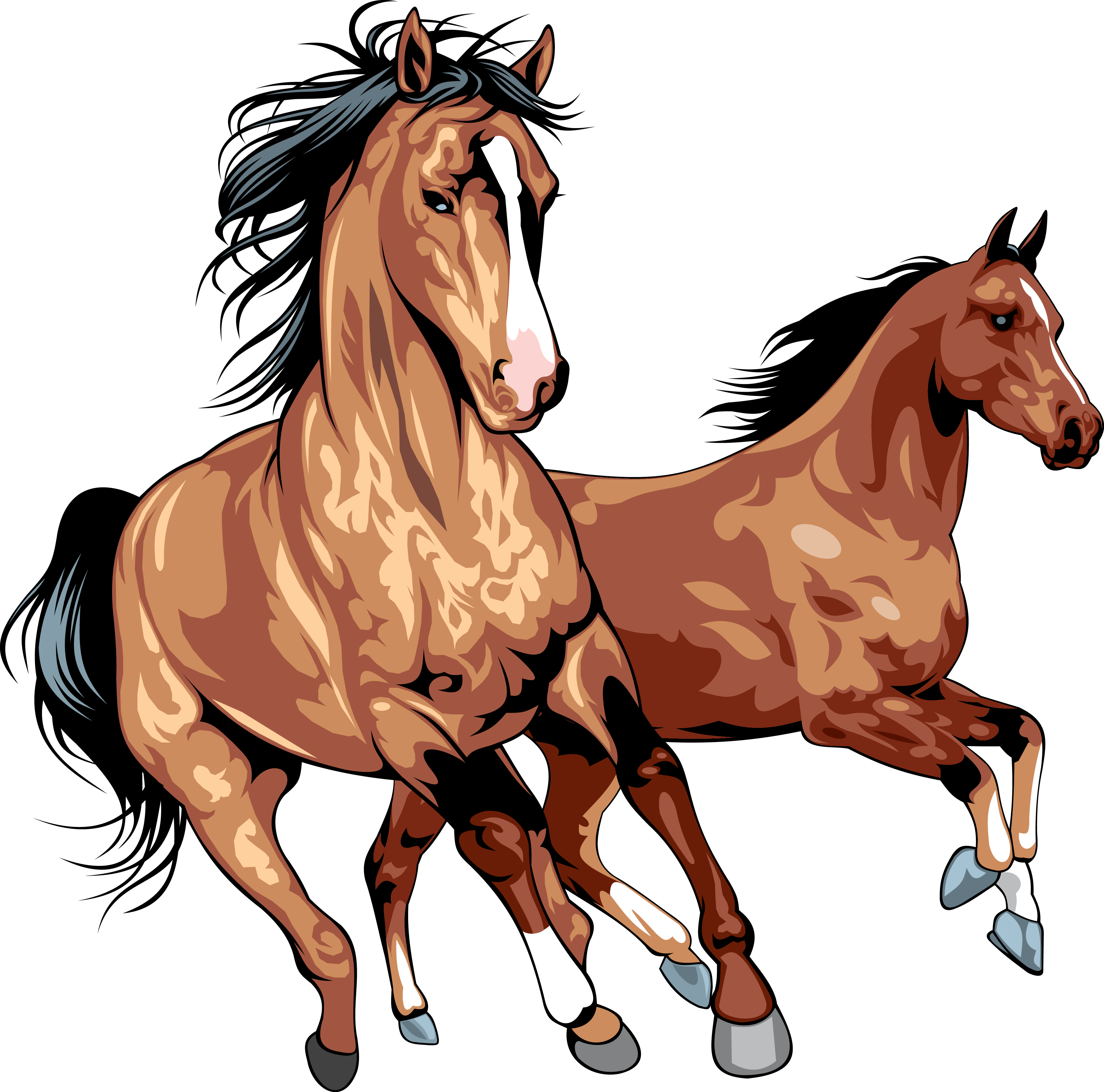عکس کارتونی اسب