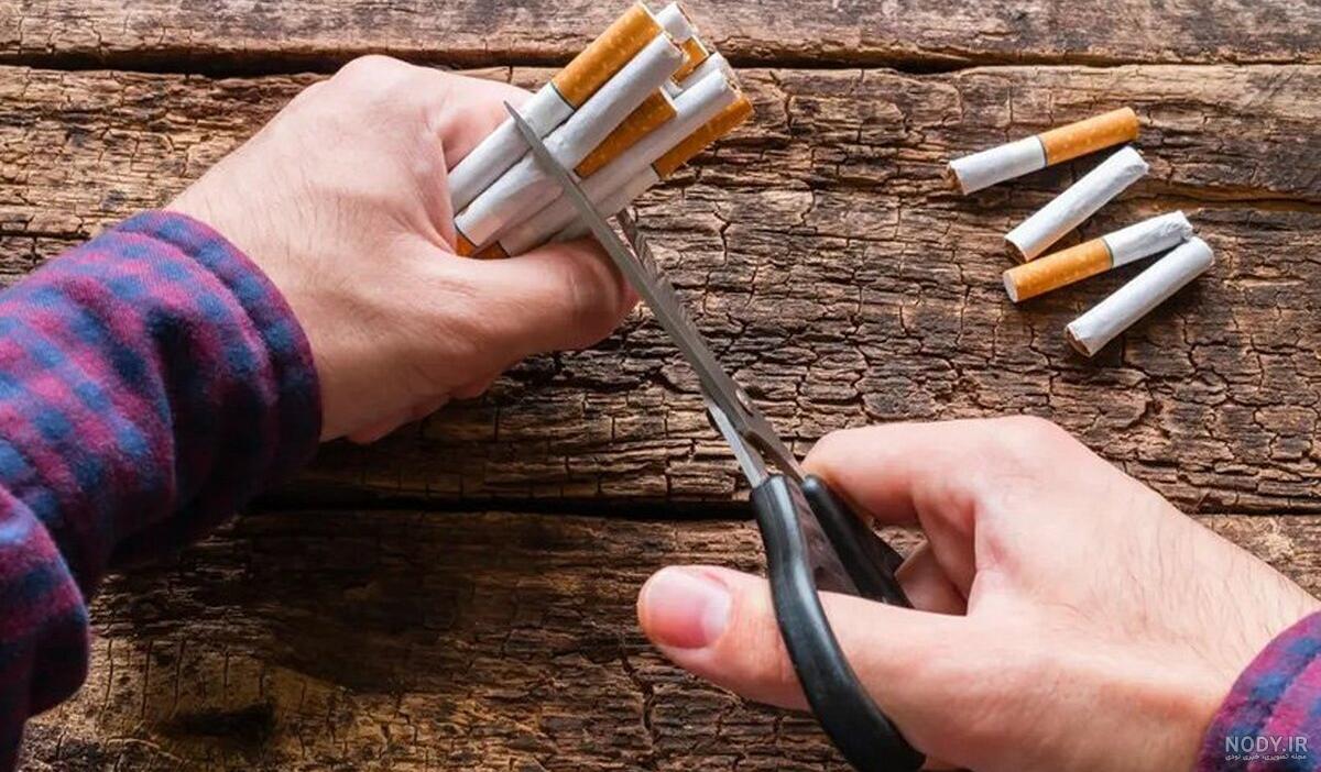 اصول سیگار کشیدن (بهترین روش با استایل حرفه ای) - هنر فردی اصول سیگار کشیدن (بهترین روش با استایل حرفه ای) - هنر فردی