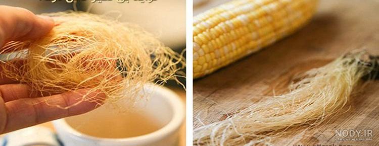 بیماری ذرت و راه های کنترل انواع بیماری های ذرت بیماری ذرت و راه های کنترل انواع بیماری های ذرت