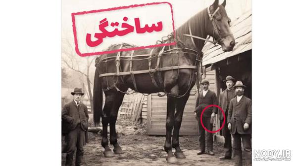 تصاویر این حیوانات غول پیکر باعث می‌شوند که به چشمان خود شک کنید! | گجت نیوز
