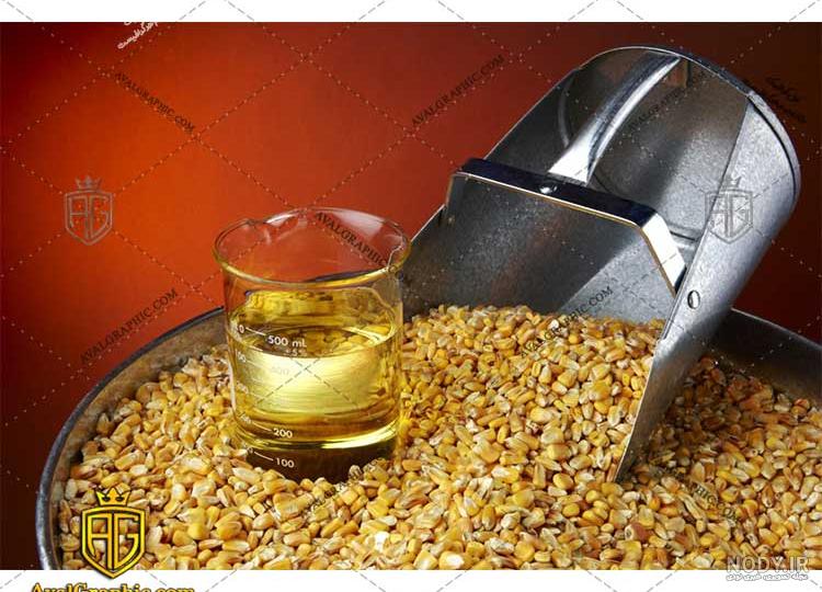 خشک کردن ذرت خشک کردن ذرت