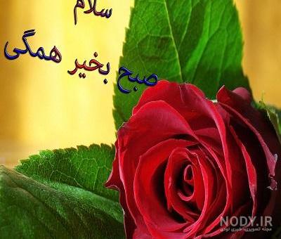 طبیعت زیبا _ آرامش _ کلیپ