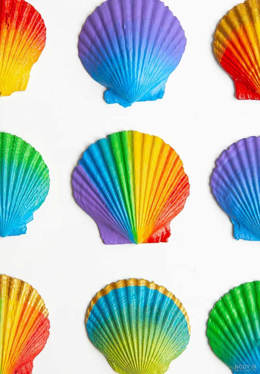 عکس صدف برای رنگ آمیزی عکس صدف برای رنگ آمیزی