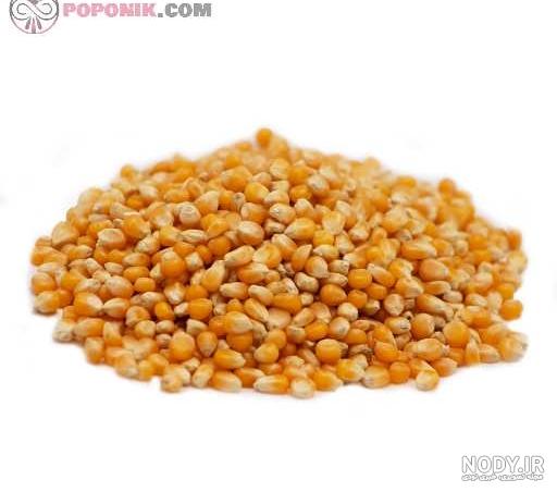 قیمت و خرید ذرت خشک شده بسته سلفونی آذوقه 400 گرمی قیمت و خرید ذرت خشک شده بسته سلفونی آذوقه 400 گرمی