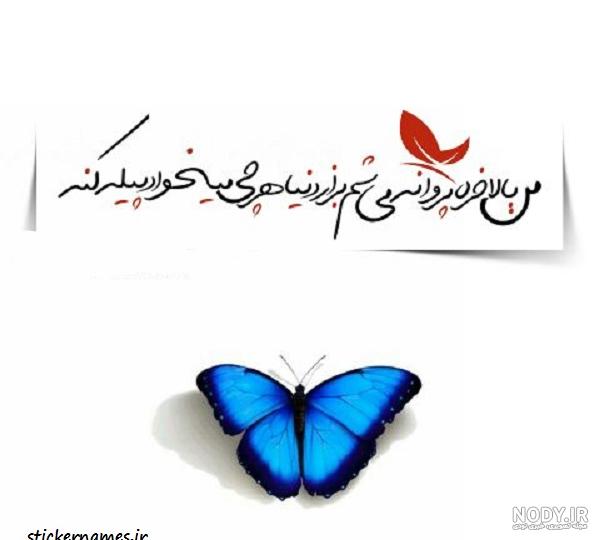 Night-Gallery.ir - شمع و پروانه Night-Gallery.ir - شمع و پروانه