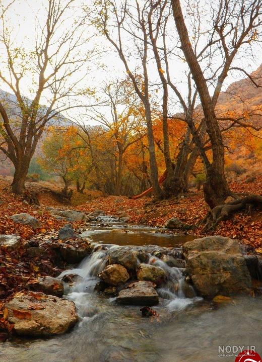 تصاویر زیبای پاییز در سراسر جهان - تصاوير بزرگ - بهار نیوز